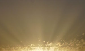 cropped-DEADAA83-E434-41F9-A150-3029B68E65F3-scaled-1.jpeg