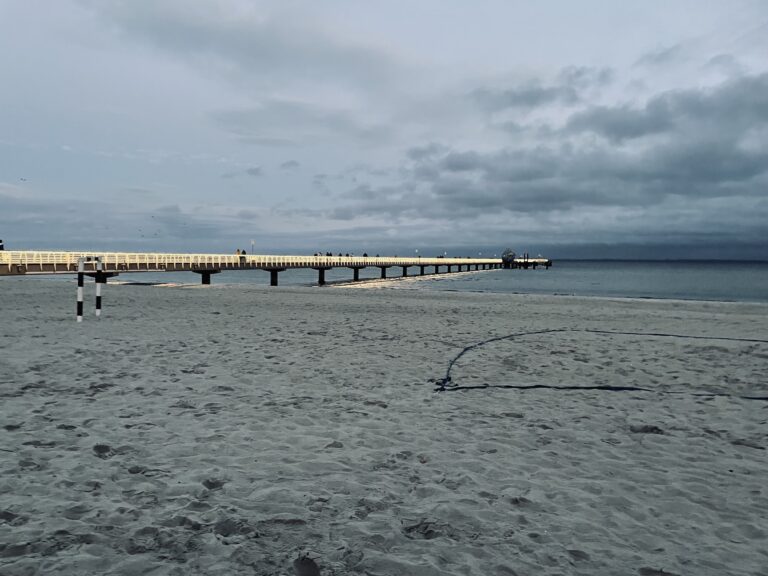 1DD8C003 CEAB 452A AD52 7D35787A6DC5 768x576