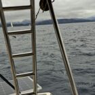photo 2025 09 29 14 25 48