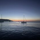 d073e939 6d7a 447a aacd 835e1e5b82b0