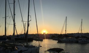 cropped-FA3A4320-3056-4D82-AD27-53F8220DF354.jpeg